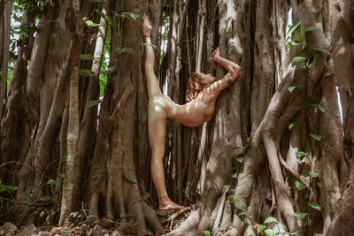 Rear view of woman doing a yoga pose in a big tree