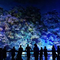 Silhouette people standing in aquarium