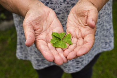 Midsection of woman holding clover leaves