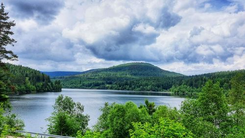 Scenic view of lake in forest against sky