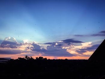 Silhouette trees against sky at sunset