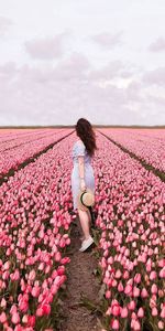 Rear view of woman standing by pink flowering plants against sky