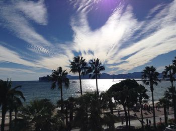 Palm trees by sea against cloudy sky