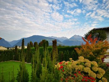 Scenic view of flowering plants and mountains against sky