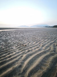 Scenic view of beach against clear sky