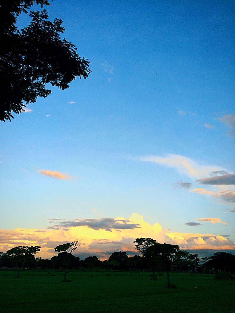 tranquil scene, tranquility, landscape, scenics, sky, field, beauty in nature, blue, grass, sunset, tree, nature, idyllic, non-urban scene, horizon over land, silhouette, copy space, cloud, outdoors, growth