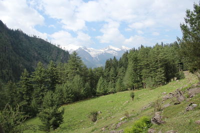 Scenic view of green landscape and mountains against sky