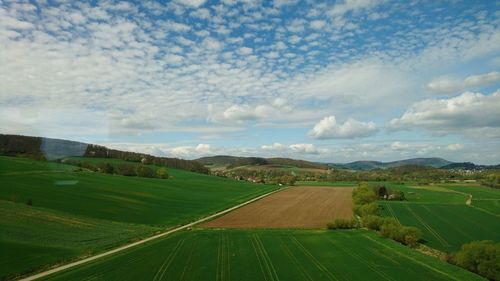 Scenic view of agricultural field against sky