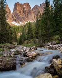 Stream flowing through rocks in forest