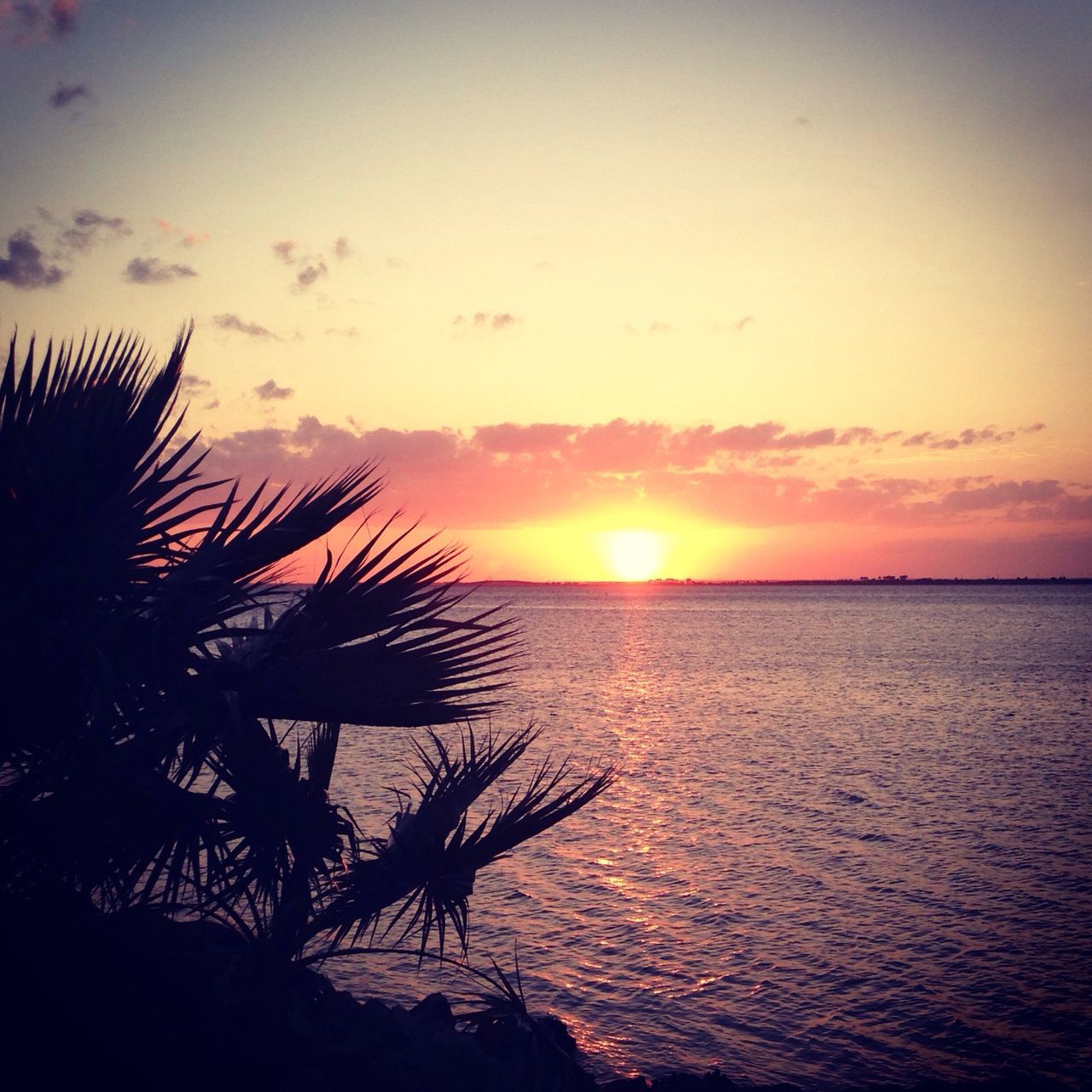 sunset, water, sea, tranquil scene, scenics, horizon over water, sun, tranquility, sky, beauty in nature, orange color, silhouette, nature, idyllic, reflection, beach, cloud - sky, cloud, palm tree, sunlight