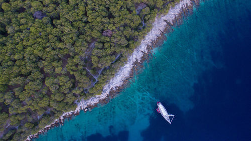 Aerial view of boat moored in sea by forest