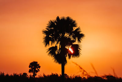 Low angle view of silhouette palm trees against orange sky