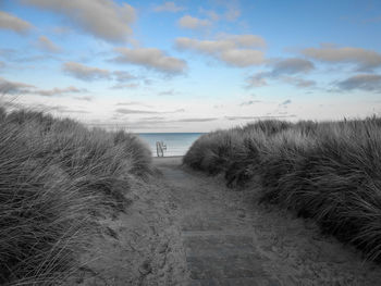 Scenic view of beach against sky