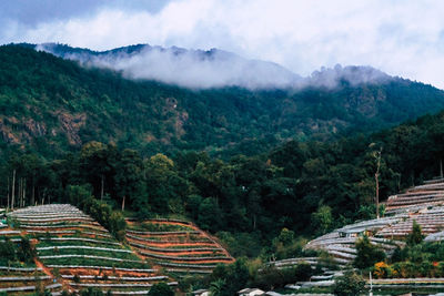 High angle view of trees on landscape against cloudy sky