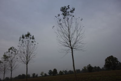 Silhouette trees on field against sky