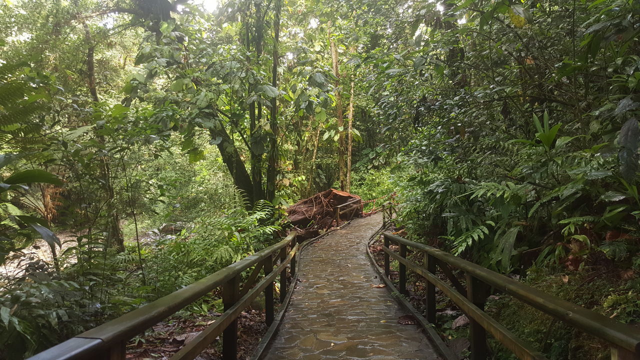 VIEW OF AN FOOTBRIDGE