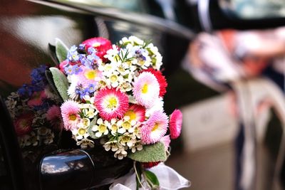 Close-up of flowers