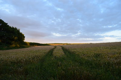 Scenic view of field against cloudy sky