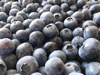 Full frame shot of blueberries