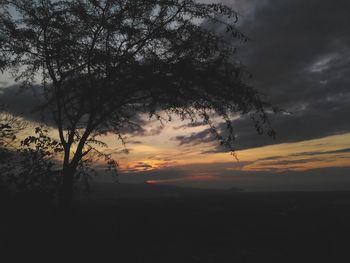 Silhouette tree against sky during sunset