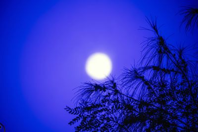 Low angle view of silhouette tree against blue sky