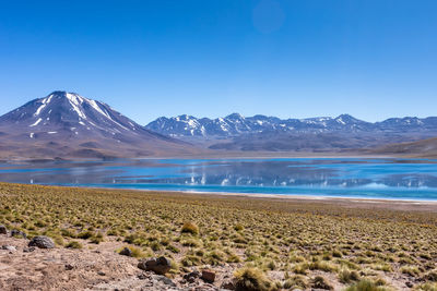 Scenic view of snowcapped mountains against clear blue sky