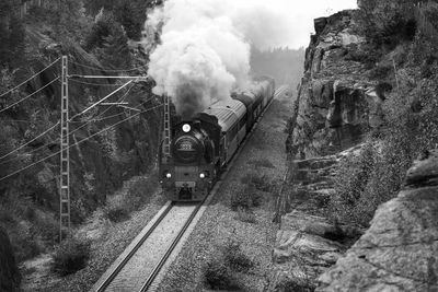 Train on railroad track amidst trees