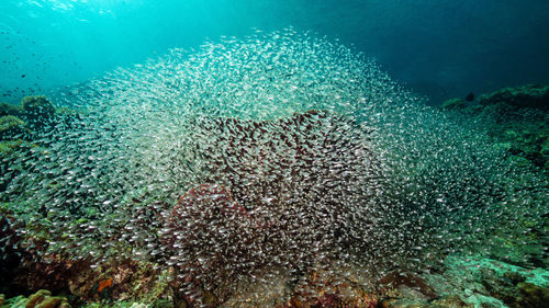 High angle view of sea