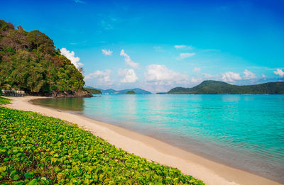 Scenic view of sea against sky