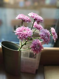 Close-up of pink flowers