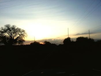 Silhouette of trees at sunset