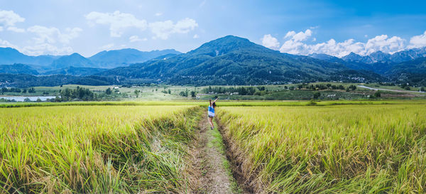 Scenic view of agricultural field against mountains