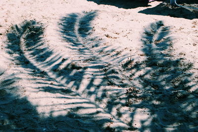 High angle view of palm tree shadow at beach during sunny day