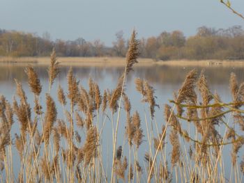 Panoramic view of lake against sky