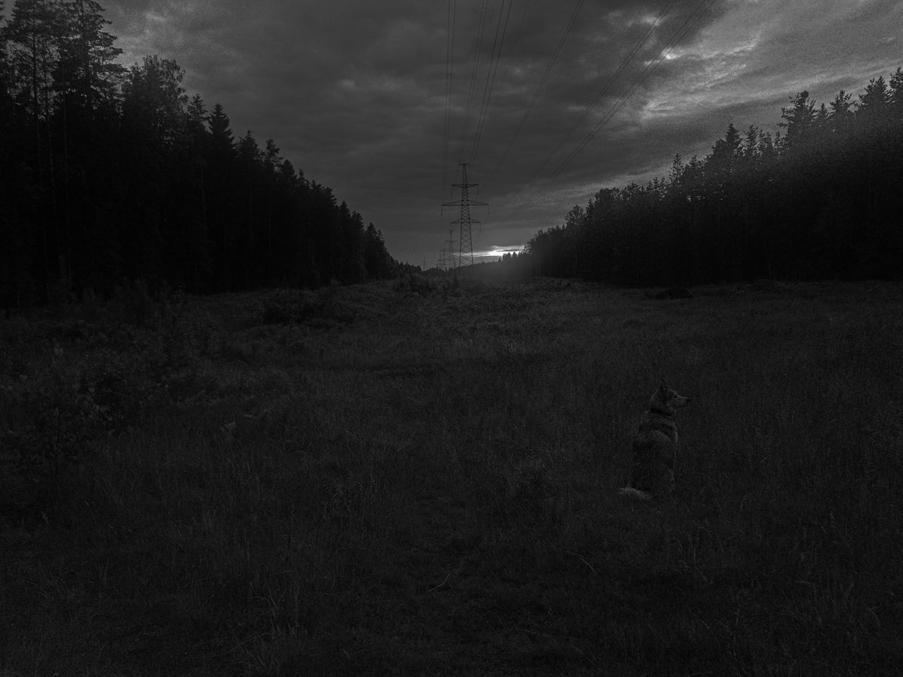 VIEW OF DIRT ROAD AMIDST FIELD AGAINST SKY