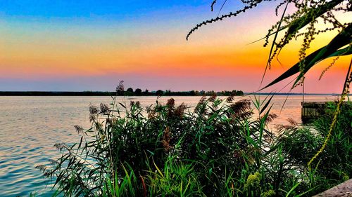 Scenic view of sea against clear sky during sunset