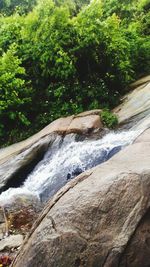 Scenic view of waterfall in forest