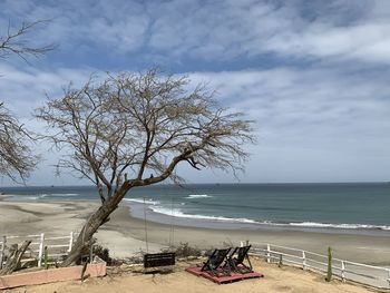 Bare tree on beach against sky in lobitos 