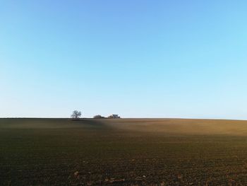 Scenic view of agricultural field against clear blue sky