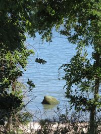 Scenic view of lake