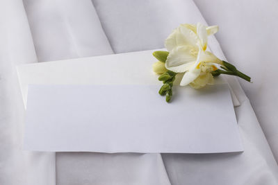 Wedding blank and an envelope with a delicate freesia flower on a light table.
