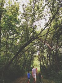 Rear view of people walking in forest