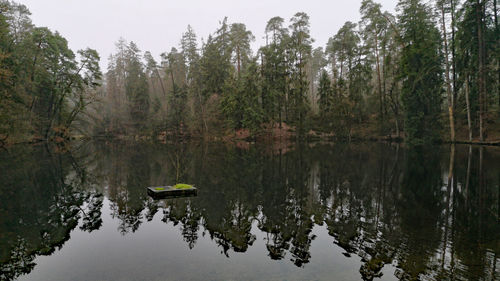 Scenic view of lake in forest