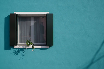 Potted plant by swimming pool against window of building