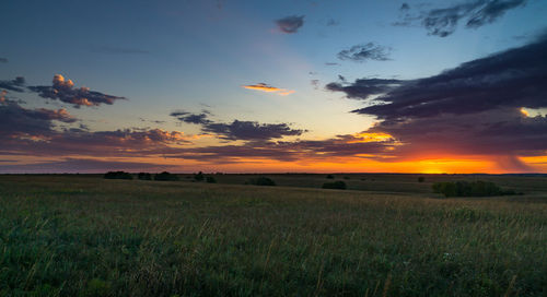 Scenic view of field against sky during sunset