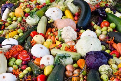 Full frame shot of various fruits and vegetables