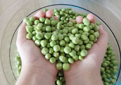 High angle view of green tomatoes