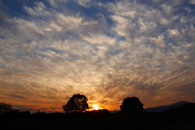 Silhouette plants on field against dramatic sky during sunset