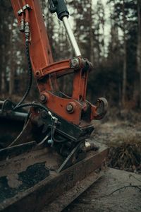 Close-up of earth mover in forest