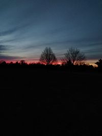 Silhouette trees on field against sky during sunset